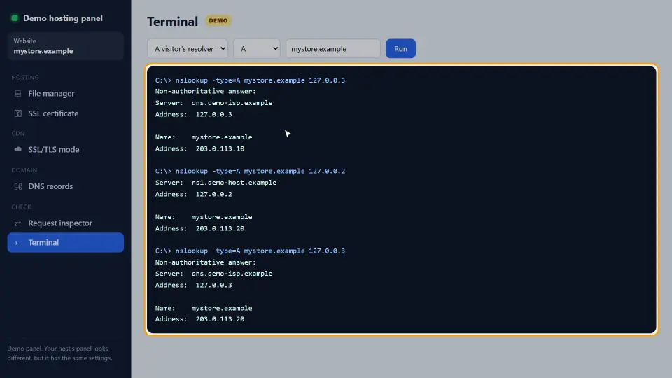 Demo: Der DNS-Anbieter antwortet mit der neuen Adresse, der Resolver des Besuchers noch mit der alten