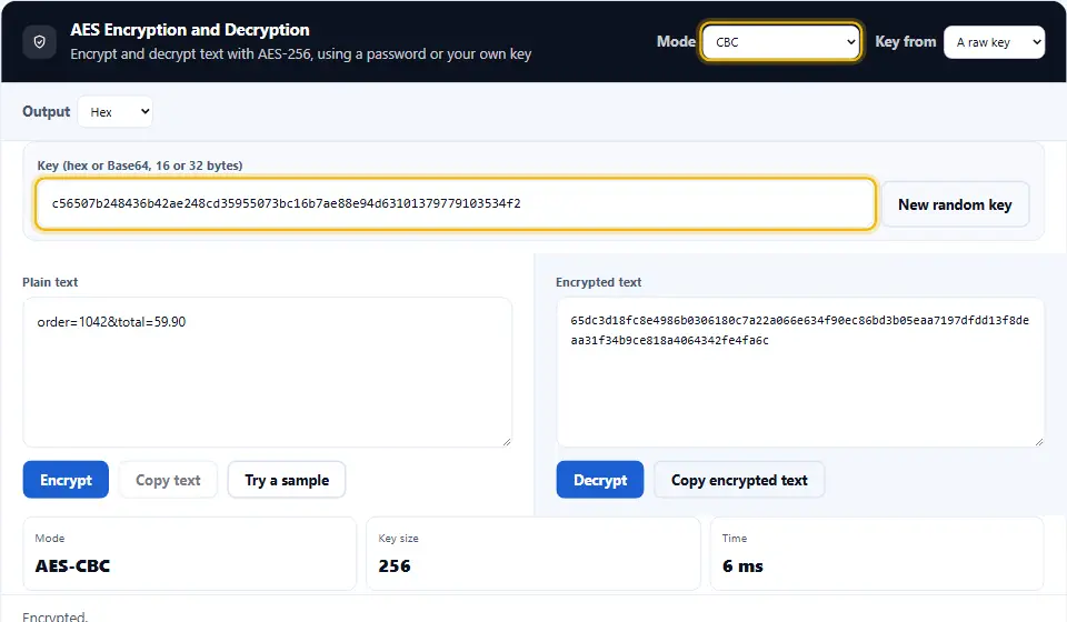 AES tool in raw key mode with a 256-bit hex key, CBC selected and a warning that CBC cannot detect changes