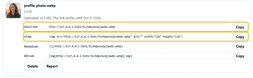 Hochgeladenes Bild mit Feldern für direkten Link, HTML, Markdown und BBCode und je einem Kopieren-Button daneben
