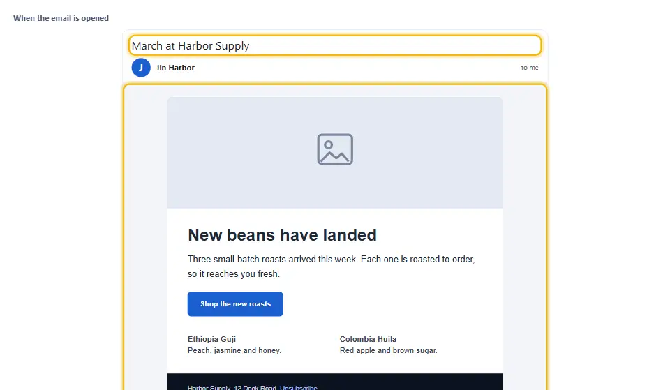 HTML email previewer showing a newsletter at desktop width inside a Gmail style window